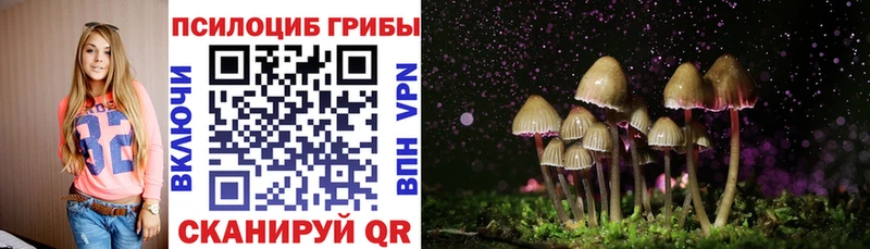 блэк спрут tor Дудинка Псилоцибиновые грибы ЛСД